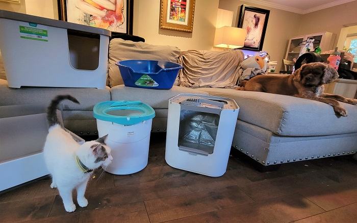 Best Litter Boxes for a Small Apartment featured image