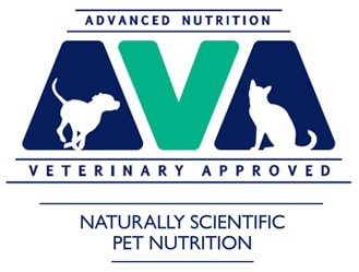 Ava logo