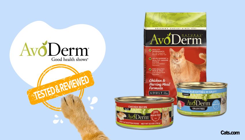 Avoderm Cat Food Brand Review