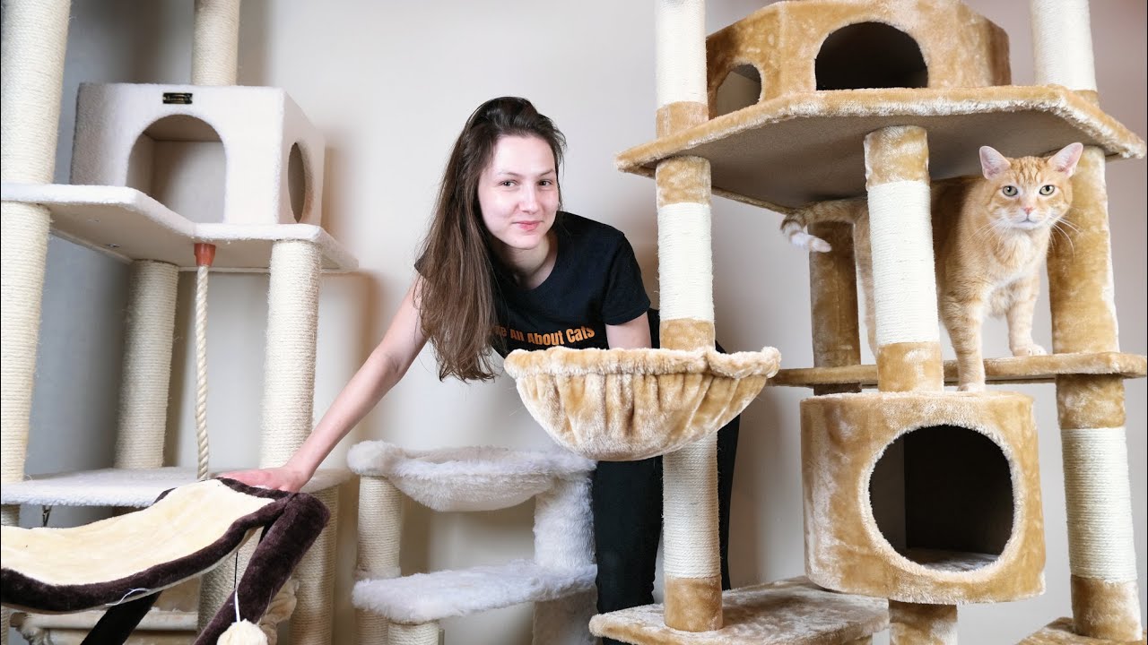 best cat trees