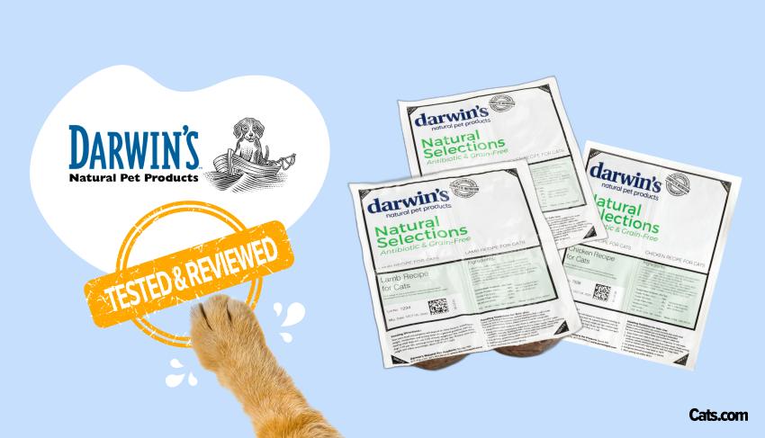 Brand Review - Darwin’s