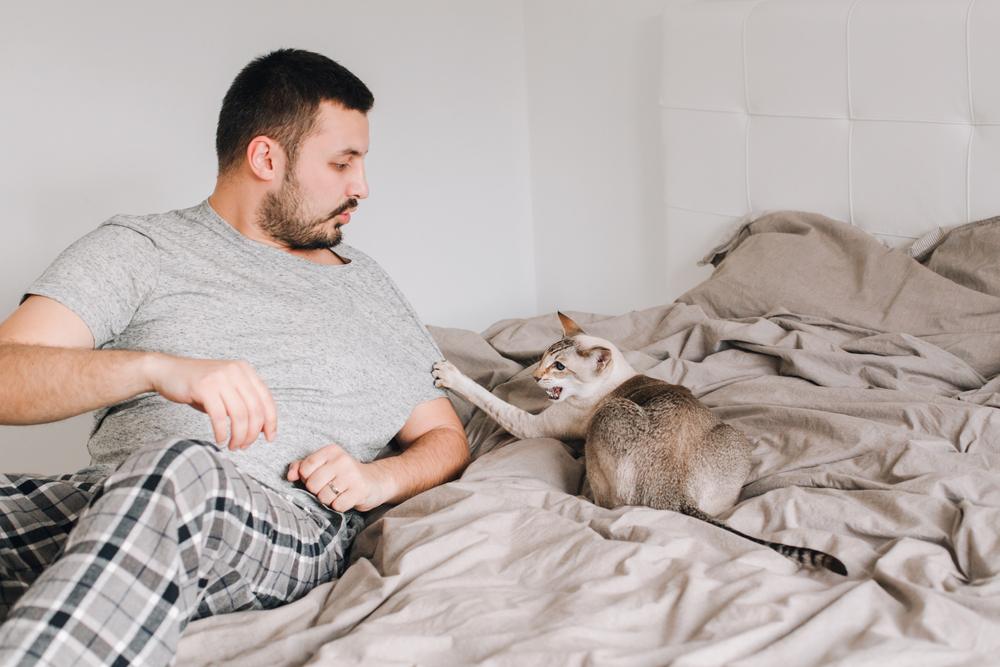 cat attacking scratching owner