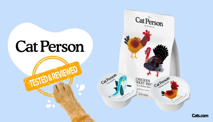 Cat Person Cat Food Brand Review