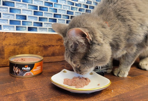 Nulo Freestyle Turkey & Chicken Recipe Wet Cat Food