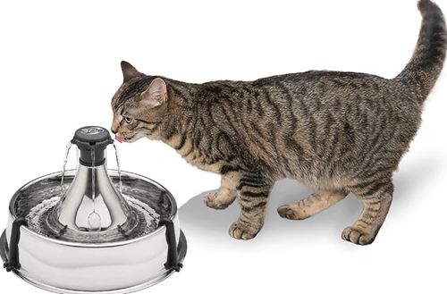 PetSafe Drinkwell 360 Stainless Steel Cat & Dog Water Fountain