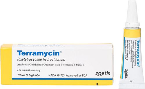 Terramycin Ophthalmic Ointment for Dogs, Cats & Horses