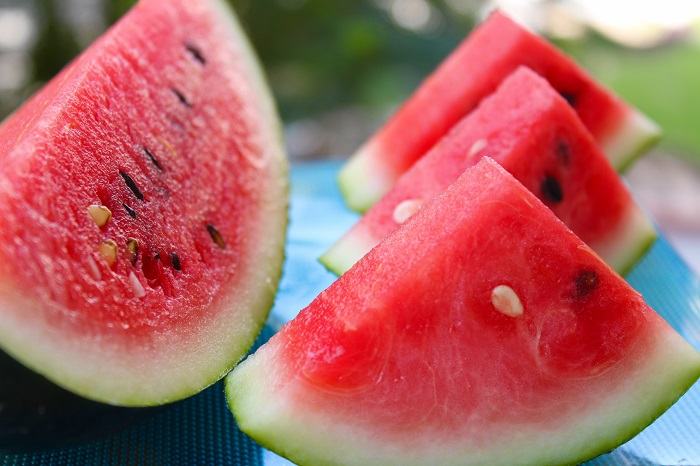 Curious cat investigating a slice of watermelon, sparking interest in unconventional snacks.