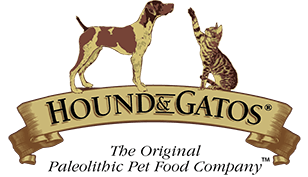 Hound & Gatos