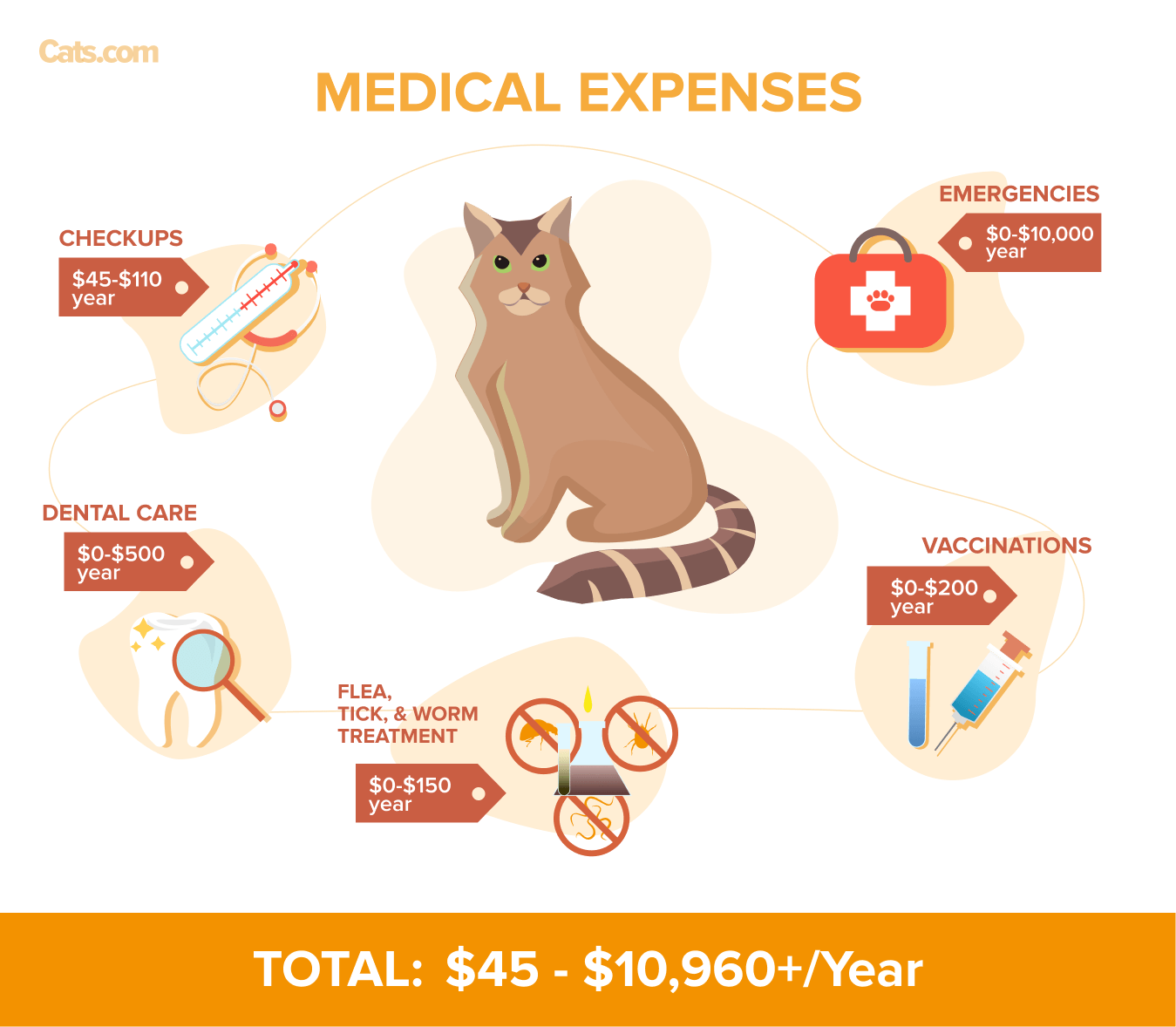 Medical Expenses